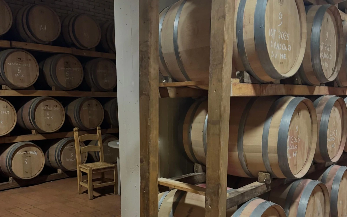 Oak barrels stacked on wooden racks in a cellar, marked in chalk