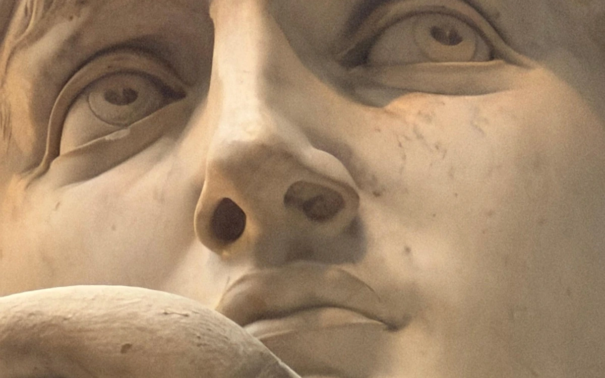 The marble face of the David up close