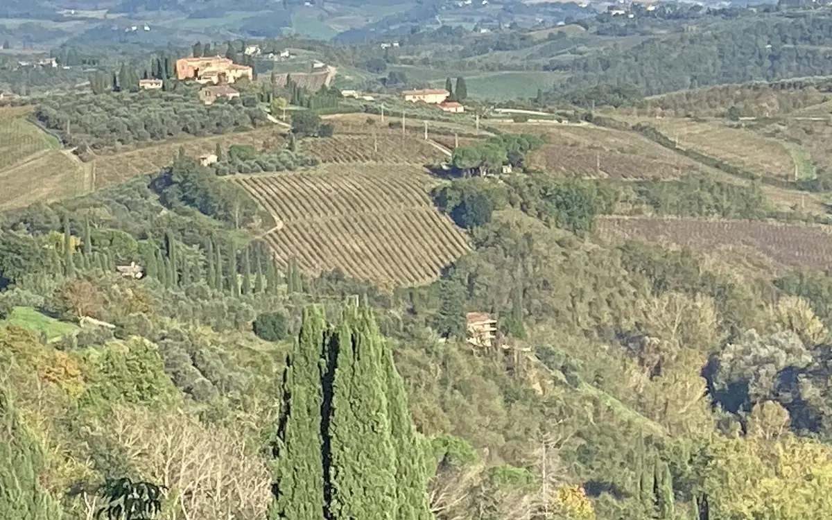 Vineyards, olive groves and cypresses on the Tuscan hills