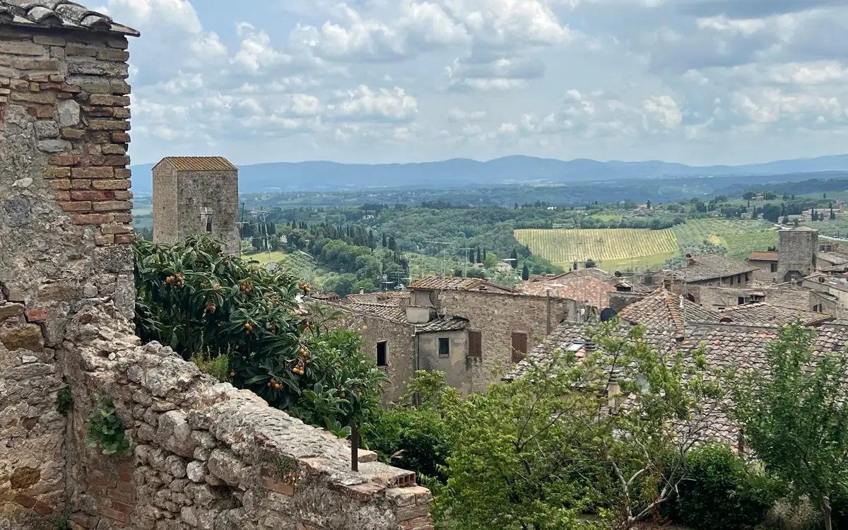 Tiled roofs and a square stone tower below an old wall, vineyards and hills beyond