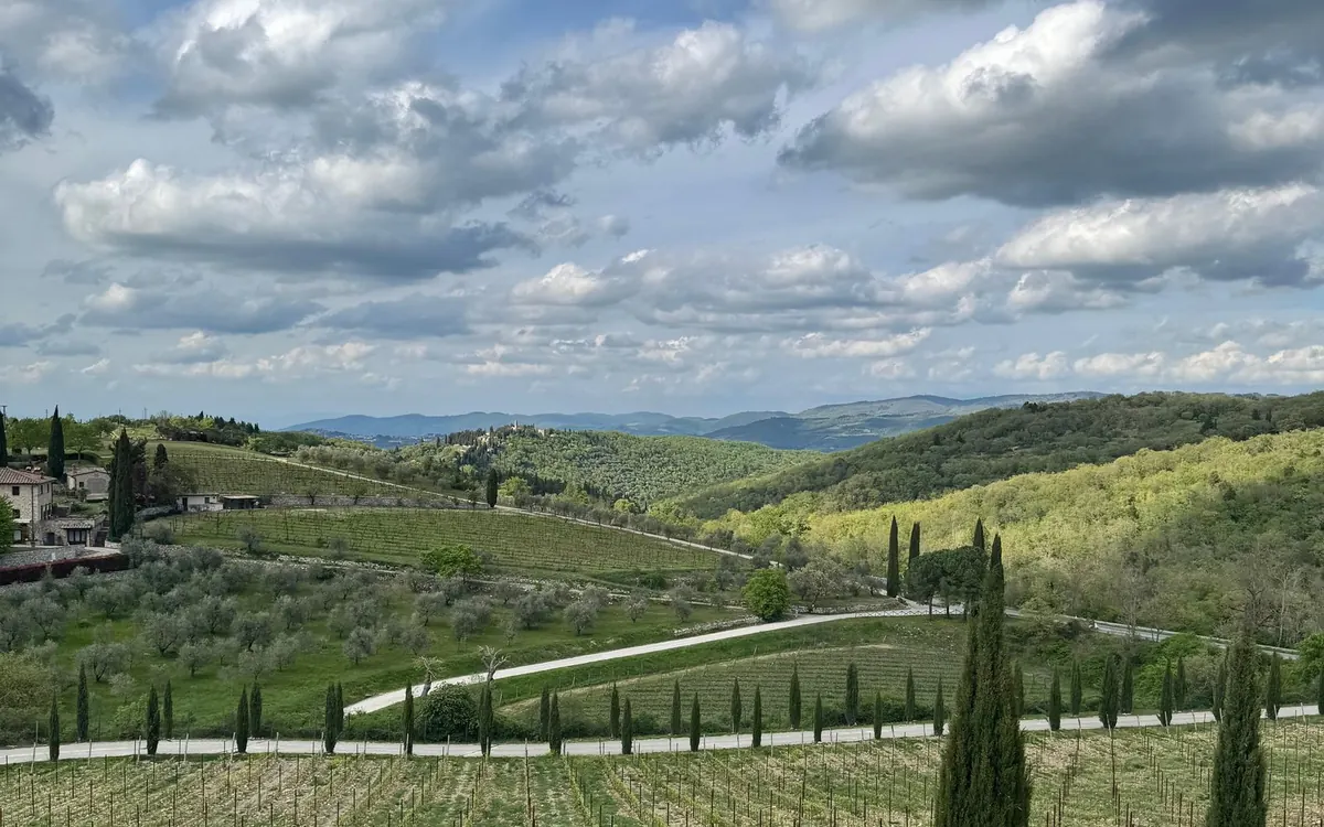 Rows of vines and cypresses below wooded Chianti hills under a cloudy sky, a stone farmhouse on the left